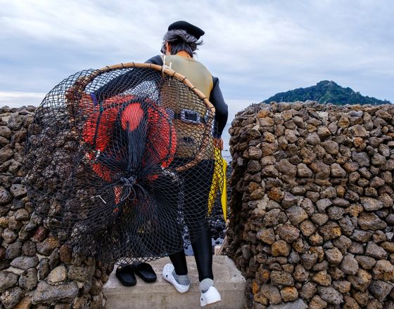 Jeju Haenyeo divers