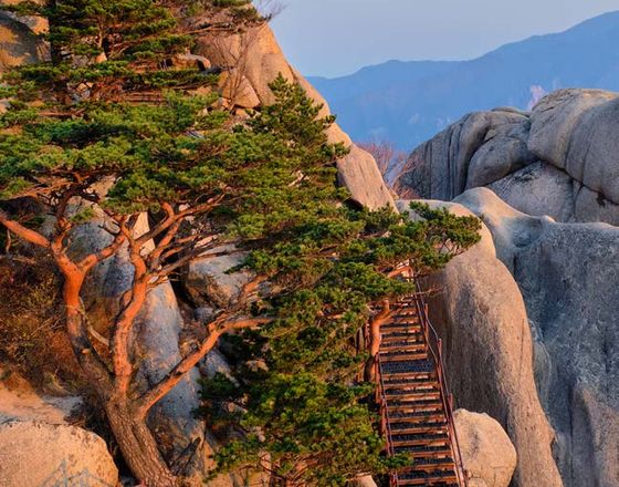 Seoraksan National Park mountain trail