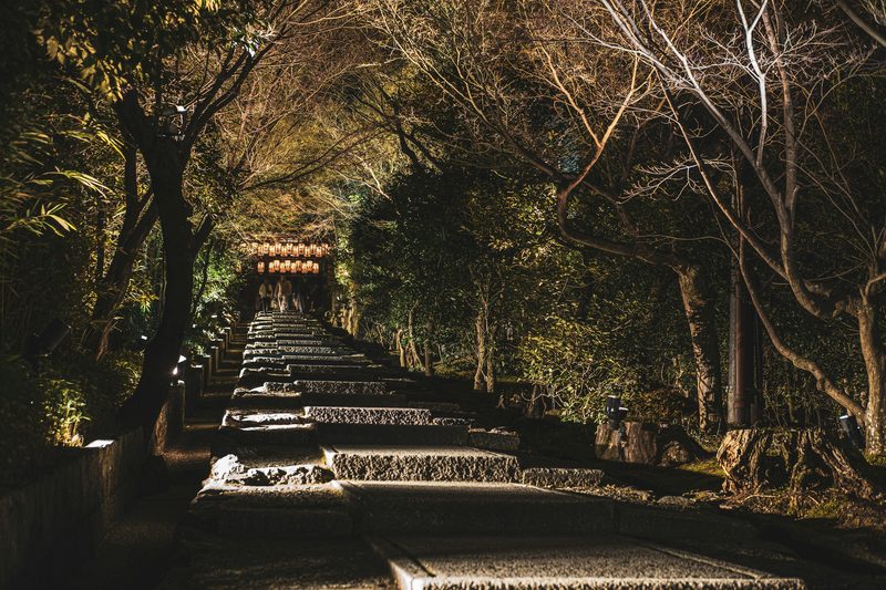 Lantern-lit stone steps at a Japanese shrine in spring