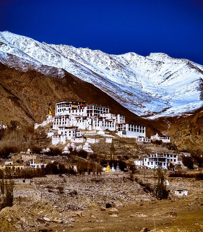 Buddhist monastery perched on a hillside with snow-capped Himalayan peaks in Ladakh