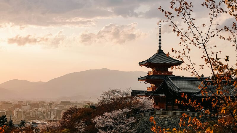 Traditional temple with cherry blossoms, Japan