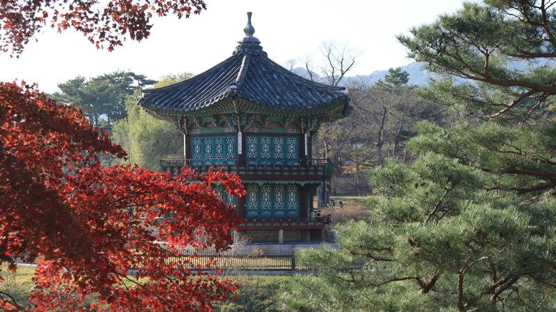 Hyangwonjeong Pavilion framed by autumn maples at Gyeongbokgung, Seoul, South Korea