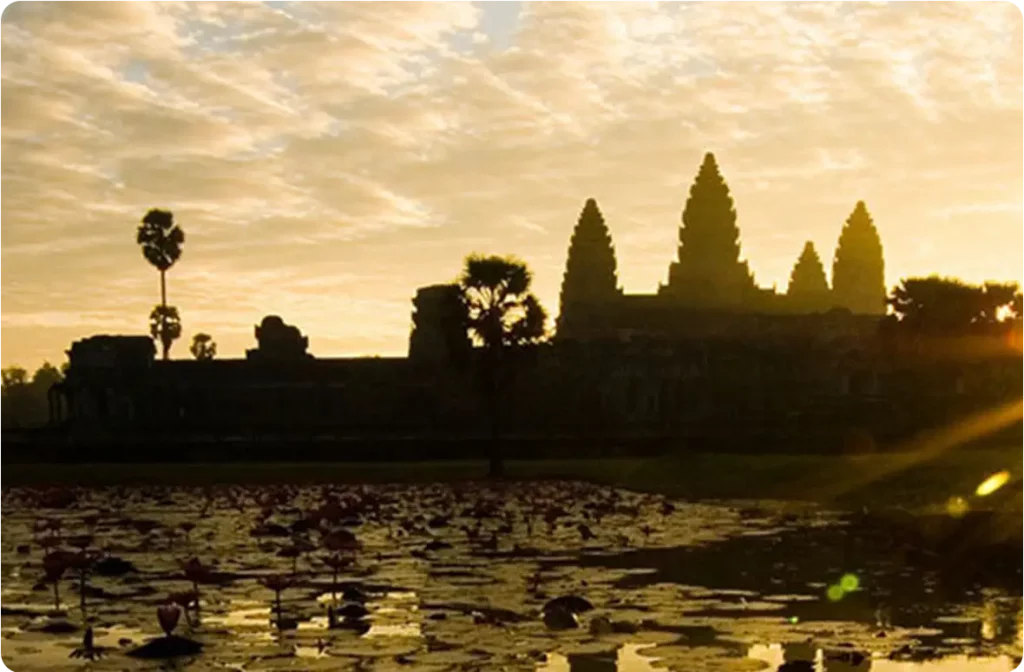 Sun setting behind an imposing Cambodian architecture in the background. The forground has the view of a swamp with lilies.