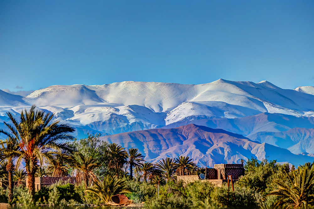 High Atlas mountains covered in snow in the background. Desert palm trees in the foreground.