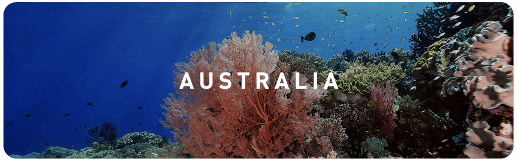 Vibrant coral reef underwater in Australia