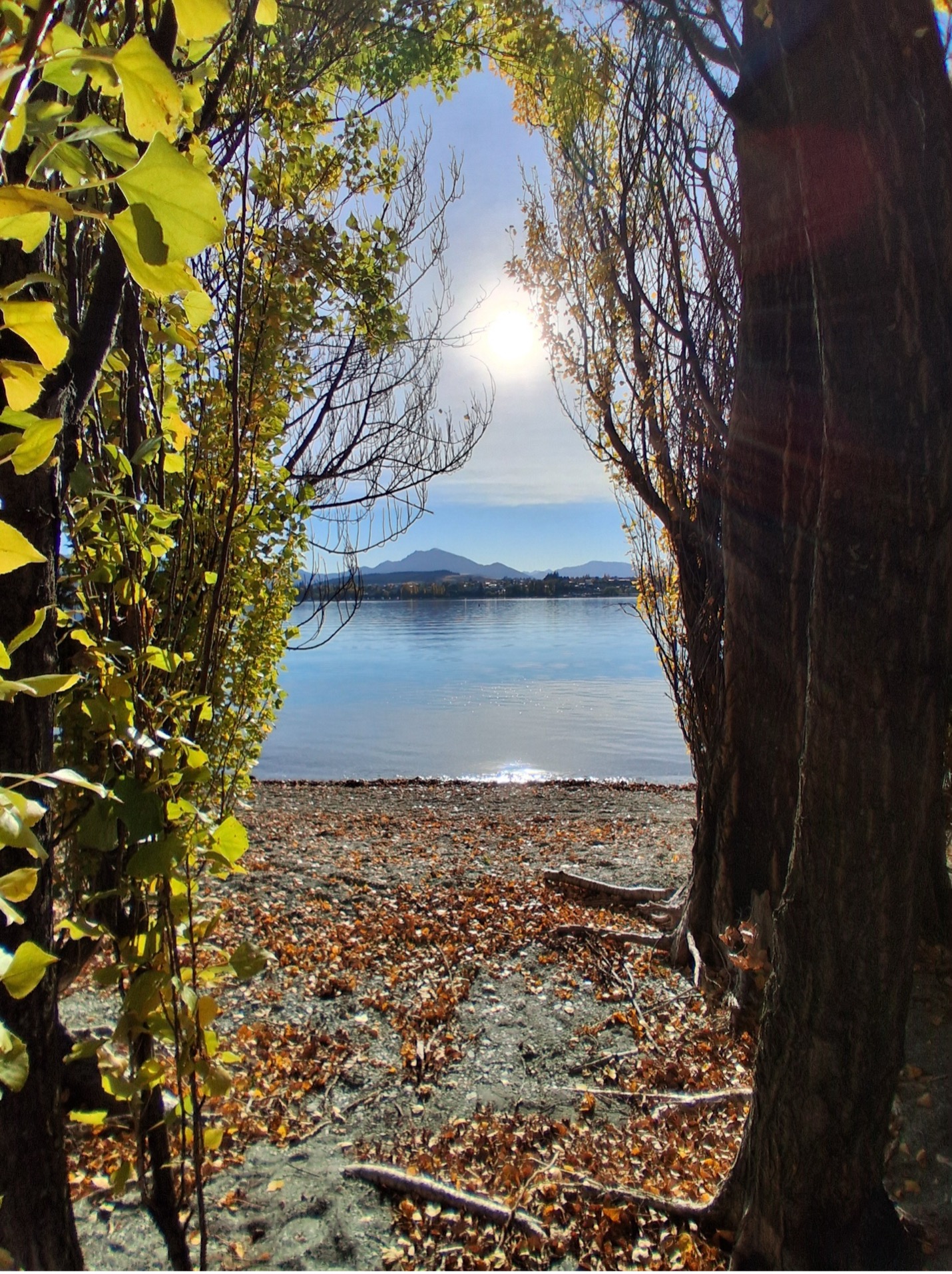 the calm lakeside
