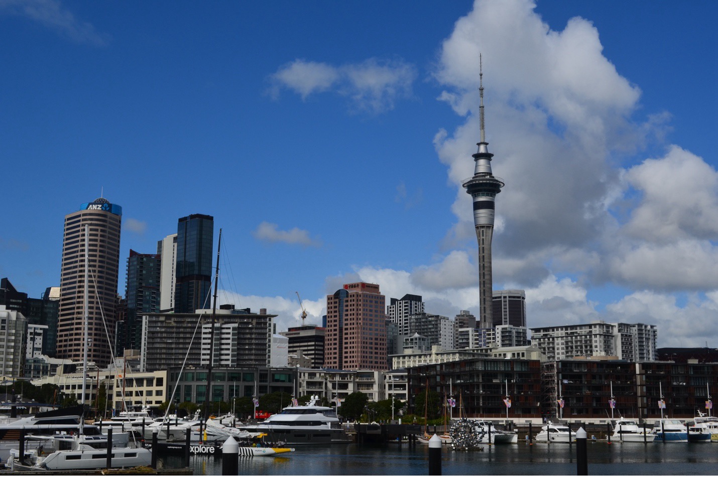 Aukland city skyline