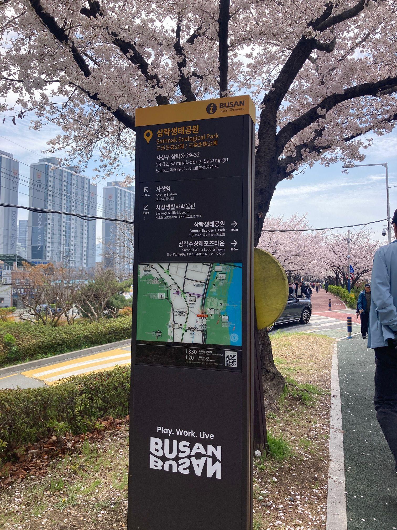 “Signage,